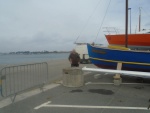 DSC01336.JPG